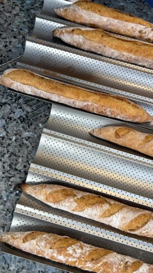 Paola Velez Instagram - Taking a break from posting about my book 😵 and posting about my plantain baguettes instead (just kidding I posted about my book earlier today) 

Ok! So let’s get into it, I am pretty happy with how these turned out! I think test no.4 was too salty for my taste 😩 I’ll be eating them with unsalted butter 😂😂😂 the 5th test batch was closer to what I want to see and aesthetically it’s been the best batch so far! 

It’s been so fun watching this lean dough interact with the starch and sugars from the plantains 

Also Im kinda vibing with finding creative ways to naturally enhance the plantain flavor 

I think now that I think test no.5 is my ideal texture and look im going to start tinkering to truly get the most plantain flavor in this baguette 😮‍💨 cooking is SO FUN! 

#foodscience #plantains #baguette #playingwithfood #bakingtechniques