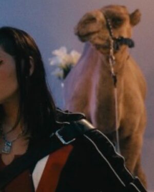 Paola Lázaro Instagram - Get you a crew with a camel that’s got your back 🐪 

#Obliterated #ObliteratedNetflix #Gomez #Paul #Trunk #Netflix #Sptv #Netflixandchill #NetflixBrasil  #NetflixEspaña #NetflixSpain #NetflixLatam #NetflixAustralia #Camel #JoeyTheCamel #SkittlesTheCamel #Actress #Actor #PrincessTWD #TWD #TWDFamily #PuertoRican #🇵🇷