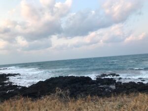Park Se-young Instagram - 우왕 제주도.....너무 좋은데 눈이.....ㅠㅠ