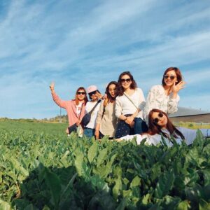 Park Se-young Instagram - #제주도
#오설록
#캬좋다