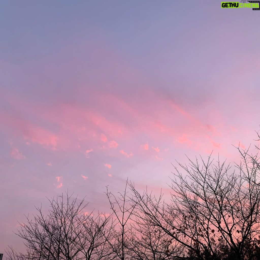 Park Hye-su Instagram - 겨울 나무와 분홍 하늘