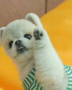 Park Ki-ryang Instagram - 안녕하세요 박기량 입니다 제 19살의 어느날 우연히 가게된 사직야구장에서 유난히 푸르고 광활해 보이던 그라운드와 웅장한 함성소리의 매력에 빠져들었습니다. 이 후 두근대는 심장에 이끌리며 야구 치어리더를 시작하게 되었습니다. 막둥이 복덩이라고 예뻐해주시던 기억이 어제일처럼 생생하고, 사직에서의 십수년간, 팬분들께 너무나도 과분한 사랑을 받았습니다. 팬분들 덕분에 갑자기 유명해지면서 현실로 생각해보지도 못한 많은것들을 해보기도 했고 혜택을 누리기도 했습니다. 그로인한 큰 사명감에 더 열심히 활동하려했고, 더욱 열심히 살아야한다고 생각했습니다. 때로는 감당하기 어려운 짐을 짊어지기도 했지만, 그 마저도 제 인생에서 한층 성장 할 수 있는 힘이 되었습니다. 진심으로 감사드립니다. 이번 시즌에는 두산베어스 응원단에서 새롭게 도전하려 합니다. 기회를 주신 두산 구단 관계자분들과 대행사, 우리 팀원들께 감사드립니다. 두산의 최강 10번타자들과 응원할 생각에 설레이고 두렵기도 합니다. 하지만 최선을 다해 함께 할것을 약속 드리겠습니다. 제대로 작별 인사드리지 못한 롯데 팬분들께 정말 죄송스러운 마음이고 다시 한번 감사드립니다. 그 감사함과 열정, 사랑을 평생 잊지 않겠습니다. 언제까지일지 모르지만, 힘닿는데까지 활동할 남은 치어리더의 시간에서도 아쉬움이 남지 않도록 최선을 다하겠습니다. 앞으로도 많은 성원 부탁드립니다. 감사합니다.