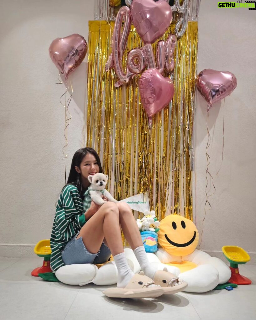 Park Ki-ryang Instagram - #펫대로하우스 덕분에 몽이는 웃음꽃이 피었답니다❤️