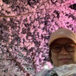 Park Mi-sun Instagram - 밥 먹고 아들과 동네 산책 . 아~~~행복하다 . 이쁘다 우리 동네 . #밤벚꽃산책 #동네한바퀴