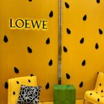 Park Se-jeong Instagram - LOEWE PAULA’S IBIZA 2024 COLLECTION 🍉💛 @loewe #LOEWE #LOEWEpaulas