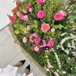 Park Se-jeong Instagram - blooming