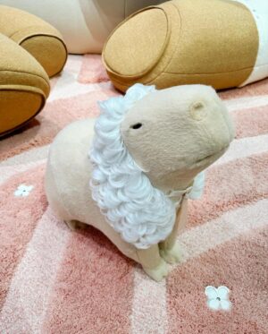 Park Se-jeong Instagram - @gentlemonster X @jennierubyjane
✧˚⋆ ˖ ࣪  Capybara heaven⋆｡ْ.·˖*·⑅♡🎀🧴🧼🫧
