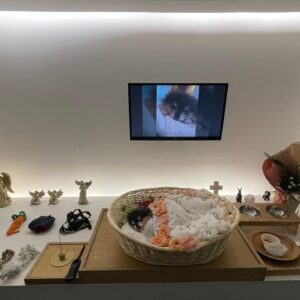 Park Ye-eun Instagram - 4월 12일 화창한 봄날에,
니뇨가 무지개 다리를 건넜습니다.
⠀
11년 동안 제 곁에서 항상 웃고 있던 니뇨는
저에게 기쁨 그 자체, 행복 그 자체였습니다.
인사이드 아웃의 조이처럼,
언제나 밝고 모두를 사랑하고 사랑받던 우리 니뇨는
마지막 가는 순간까지도 웃어 주었어요.
⠀
마지막 밤을 보내고 13일 오후에
니뇨를 사랑하는 가족들, 친구들과 함께
배웅해 주었습니다.
⠀
니뇨를 더는 안아줄 수 없다는 사실이
아직 실감이 안나고 너무 무서운데
잘 가라는 말을 도저히 못하겠는데
니뇨는 많은 분들의 인사를 받고 싶을 것 같아요
워낙 사람을 좋아하던 아이라서요
⠀
니뇨 거기서도 행복하라고, 아프지 말고 건강하라고
인사 부탁드려요..! 니뇨가 정말 좋아할 거에요
⠀
그리고 니뇨 사진 혹시 갖고 계신 분들
저에게 보내주시면 감사하겠습니다
제가 모르는 사진을 보면 니뇨를 다시 만난 것 같아서요
⠀
니뇨야 엄마는 세상에서 니뇨를 제일 사랑해
엄마를 사랑해줘서 너무 너무 고마워
엄마에게 다시 돌아올거라 믿고 있을께
편히 쉬어 내 사랑 니뇨야
⠀