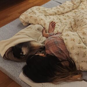 Park Ye-eun Instagram - 4월 12일 화창한 봄날에,
니뇨가 무지개 다리를 건넜습니다.
⠀
11년 동안 제 곁에서 항상 웃고 있던 니뇨는
저에게 기쁨 그 자체, 행복 그 자체였습니다.
인사이드 아웃의 조이처럼,
언제나 밝고 모두를 사랑하고 사랑받던 우리 니뇨는
마지막 가는 순간까지도 웃어 주었어요.
⠀
마지막 밤을 보내고 13일 오후에
니뇨를 사랑하는 가족들, 친구들과 함께
배웅해 주었습니다.
⠀
니뇨를 더는 안아줄 수 없다는 사실이
아직 실감이 안나고 너무 무서운데
잘 가라는 말을 도저히 못하겠는데
니뇨는 많은 분들의 인사를 받고 싶을 것 같아요
워낙 사람을 좋아하던 아이라서요
⠀
니뇨 거기서도 행복하라고, 아프지 말고 건강하라고
인사 부탁드려요..! 니뇨가 정말 좋아할 거에요
⠀
그리고 니뇨 사진 혹시 갖고 계신 분들
저에게 보내주시면 감사하겠습니다
제가 모르는 사진을 보면 니뇨를 다시 만난 것 같아서요
⠀
니뇨야 엄마는 세상에서 니뇨를 제일 사랑해
엄마를 사랑해줘서 너무 너무 고마워
엄마에게 다시 돌아올거라 믿고 있을께
편히 쉬어 내 사랑 니뇨야
⠀