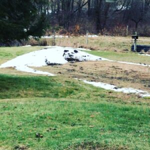 Parker Posey Instagram - Gracie’s face in the melting snow🙏🏼🥰