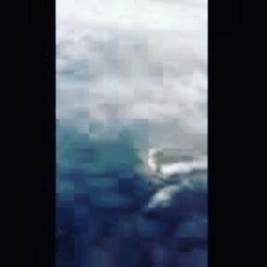 Parker Posey Instagram - I know this is eery, but but @robrothnyc took this photo on an airplane at noon yesterday when Gracie passed.  I can see my face become Gracie’s in the liminal space of the passing clouds.  I’m very moved and blessed to receive the kind words of support during this time of grief and love🙏🏼♥️thank you✨✨✨✨✨✨✨✨✨✨