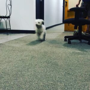 Parker Posey Instagram - The last jump wasn’t the only one that day!  This one is more comedic🥰😆