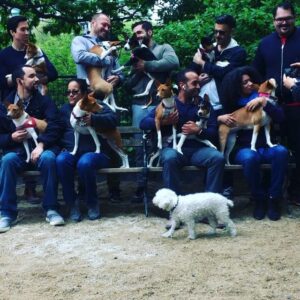 Parker Posey Instagram - Gracie’s cool🤙🏻Not taking anything personal😀