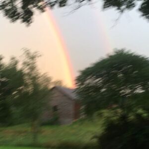 Parker Posey Instagram - Oh my God! It’s a real RAINBOW!🌈🌈🌈🌈🌈🌈🌈🌈🌈🌈🌈