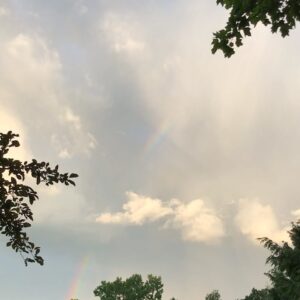 Parker Posey Instagram - 🌈 🌈 🌈