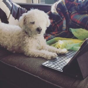 Parker Posey Instagram - Now Gracie’s a WRITER?! ❤️😆