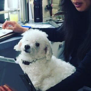 Parker Posey Instagram - Gracie in the hair chair with Jeannie Chow #lostinspace, going over different looks✍🏼👩🏻