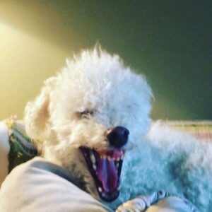 Parker Posey Instagram - How does she know to perform?