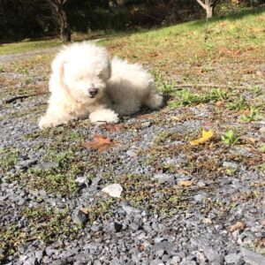 Parker Posey Instagram - Morning meditation, taking in the Fall 🍁 🍁 🍁