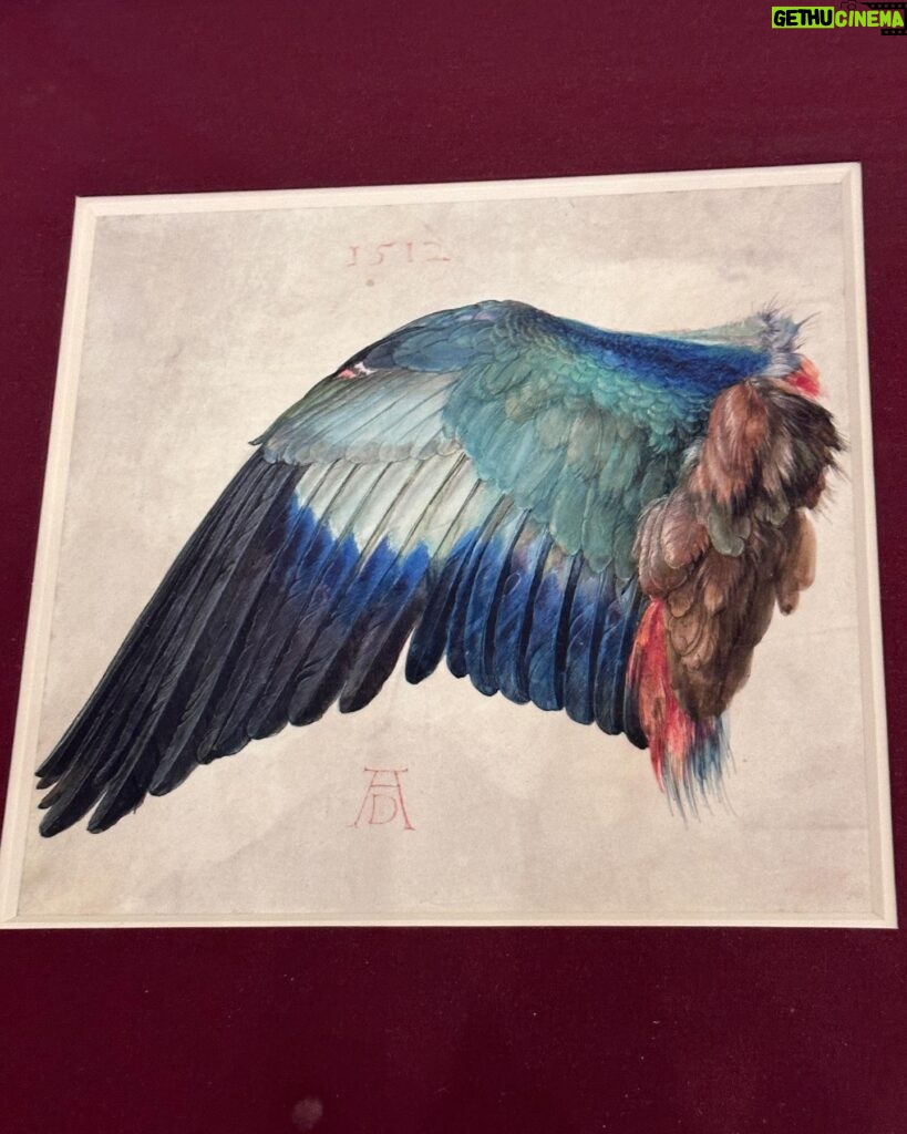 Patricia Arquette Instagram - Black bird, Blue bird, Old bird, New bird