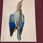 Patricia Arquette Instagram – Black bird, Blue bird, Old bird, New bird