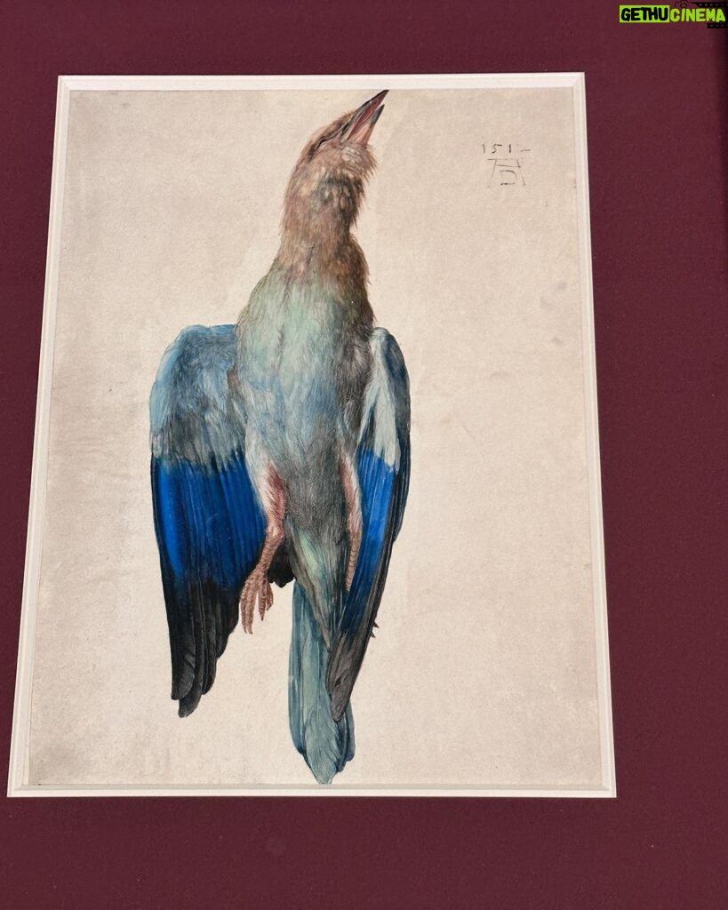 Patricia Arquette Instagram - Black bird, Blue bird, Old bird, New bird