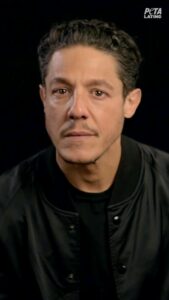 Patricia De Leon Instagram - Vieron una película de terror de la vida real y así reaccionaron. Y tu celebridad favorita, ¿lloró al ver la crueldad de los experimentos en animales? Con la participación de: @katedelcastillo @theorossi @patriciadeleonb @emiliorivera48 @stephaniegerard @lexigriswold @littlecrumb_ @theevelyng @chefangelameans