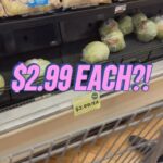 Patricia Williams Instagram - No matter where you come from OR what you have…food prices are high. Y’all can argue with me all you want about who did it, but what you REALLY need to do is split some lettuce with your fellow grocery shoppers. 😂😂😂 Austin TX! I am on my way to @paramountaustin this Thursday for Moontower Comedy Fest! Get your tickets at mspatcomedy.com! #lettuce #mspat #inflation