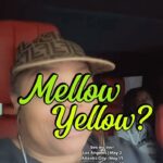Patricia Williams Instagram – I know I’m getting old 🤦🏽‍♀️ And no I’m not wearing my wig everyday when I’m home 🤷🏾‍♀️😂 Do y’all still drink mellow yellow? 

#sodas #mellowyellow