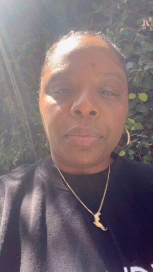 Patrisse Cullors Instagram - If we decide to let them divide us, if we don’t intervene and remind each other that law enforcement doesn’t keep us safe. If we can’t lean into our values and build coalition even when it’s hard, we aren’t going to win. And when I say we won’t win, I mean we will stay disconnected and traumatized and forget how important we are to each other. 

I have a lot more thoughts and feelings but please use your platforms wisely.