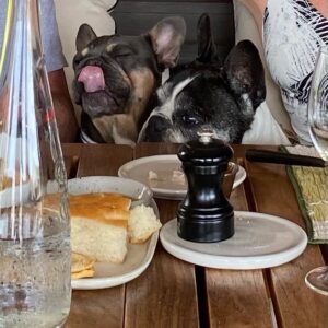 Patti Hansen Instagram - Lunch guests ❤️sugar and honey