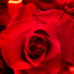 Patti Hansen Instagram - It’s a love day ❤️stems included❤️always and forever Mr Richards😍 I love you  too❤️💫 rings on you 💫 @officialkeef