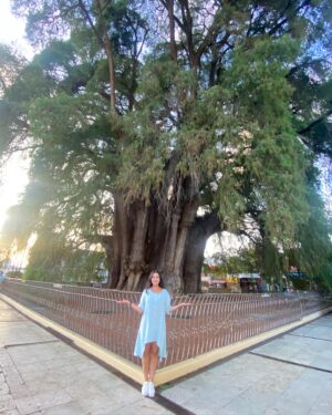 Paty Díaz Instagram - 💛💙💚
Así mi semana… 🙏🏼
… Cuando se unen lo que tanto amas hacer 🎥 en un viaje  extraordinario…
“Nadie como tú” en Oaxaca de mi corazón! @nadiecomotu.tv 
Gracias Oaxaca, Gracias vida!!

#oaxaca #nadiecomotú #matatlan 
#gratitud #grabacion #arte #actriz #actress #produccion #direccion #texto #agave #maguey #mezcal #artesania #arboldeltule #barriodejalatlaco