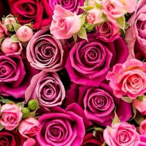 Paula Jai Parker Instagram - These are for all of you 💖🫵🏽😘 #happyvalentinesday