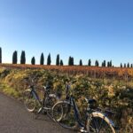 Pauline Bression Instagram – Octobre et Loire 🍁🚲🎈
.

#laloireavelo #montgolfière #regiondefrance #merveilles #paysagedautomne #chateaudamboise #leonarddevinci