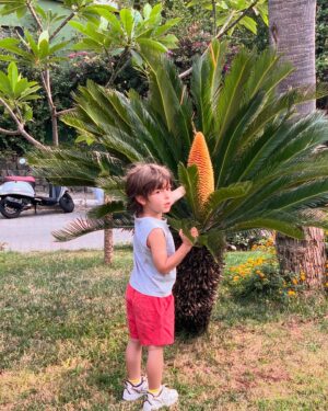 Pelin Batu Instagram - En son 15 yıl önce geldiğim Marmaris nasıl güzel geldi. Marmaris Kültür Sanat Festivalinin davetlisi olarak geldiğimiz İçmeler’de yanmış ormanlar yavaş yavaş yeşeriyor ama orkinos pek de görünmüyor. Coğrafya muhteşem, bir de değerini bilebilsek…