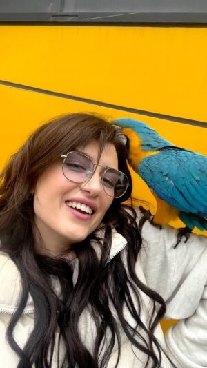 Pelin Orhuner Instagram - Love story☺️🦜