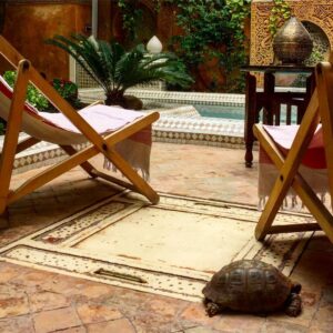 Pénélope McQuade Instagram - Y a une tortue là. #riaddombaraka