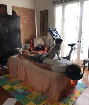 Perrey Reeves Instagram - When the bedroom becomes the gym/spa/school/dog daycare...epicenter of the House. (Also when you’re so desperate for a massage that even a dog walking on your back is encouraged) #quarantinelife #rescuedogs #adoptdontshop #roosterandjunip @aaronfoxtennis ❤️