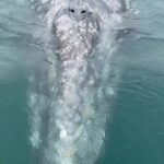 Perry Mattfeld Instagram - encounter of a lifetime