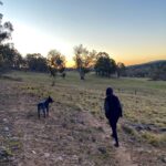 Philippa Northeast Instagram - Come on Human