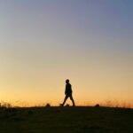 Philippa Northeast Instagram - Sambo of the Silhouettes