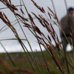 Philippa Northeast Instagram - Passes of Grasses