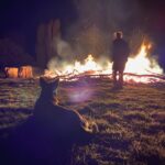 Philippa Northeast Instagram - Guard Doggin’