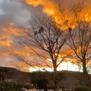 Phyllis Quek Instagram - Grateful for the beautiful sunset and can’t get enough of it 😍 #blessed #sunset #lovelife #thankful