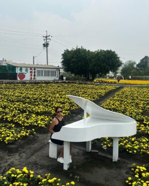 Pipay Kipay Instagram - Somewhere in Taipei