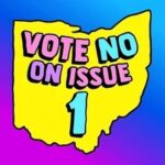 Piper Perabo Instagram – #OHIO VOTES TODAY

🗳️This is your last chance to vote NO on Issue 1 and take a stand to preserve majority rule in Ohio. 
Reproductive freedom is on the line.

VOTE NO on Issue 1

🗳️Need voter info? 
Call or Text:  1-866-OUR-VOTE