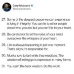 Piper Perabo Instagram - Repost from @questlove • Still a beginner in meditation. Some of these points resonate strong w me. #Repost @message.from.beyond ・・・ ✍️Via: @corymuscara Via: my friend @seulgiburns via my friend @questlove who’s name says it all, thanks for this ✨