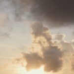 Pooja Kannan Instagram - 🌤 . . . . . . . . . . . . . #explorepage✨ #createcommune #reelsindia #filmpallete #agameoftones #dogstagram #doggies