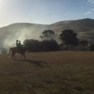 Poppy Drayton Instagram - The Shannara Chronicles BTS 

I met so many incredible people on this job, thank you to @officialterrybrooks @jonfavreau @dan_farah @goughalfred @miles_millar for bringing me onboard. What a special, special time ❤️